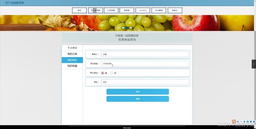 農(nóng)產(chǎn)品銷售系統(tǒng) 設(shè)計(jì)、實(shí)現(xiàn)與計(jì)算機(jī)系統(tǒng)服務(wù)集成